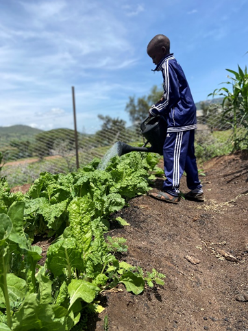 Ngoswak pupils Irrigating the vegatable plotts